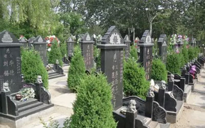 公墓只能使用20年，过期了怎么办？