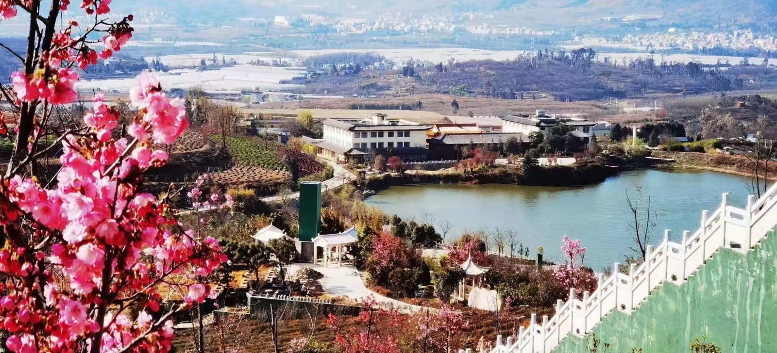 春暖花开——青龙园不是公园胜似公园