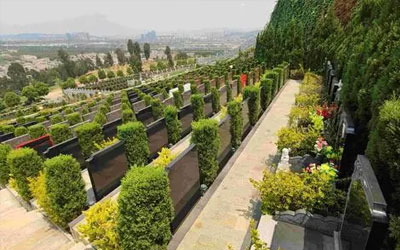 大家会通过什么方式买墓地？