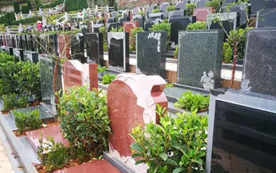 昆明购墓流程