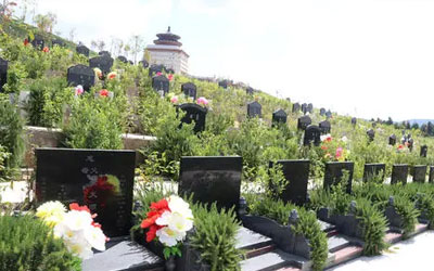 选择福地需要注意哪些因素