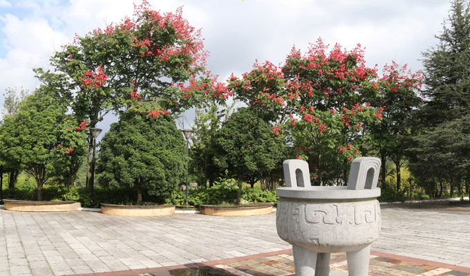 昆明青龙园龙凤呈祥实景拍摄