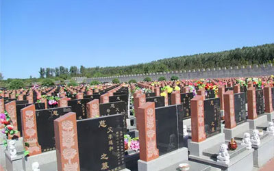 购买墓地需要注意以下几点