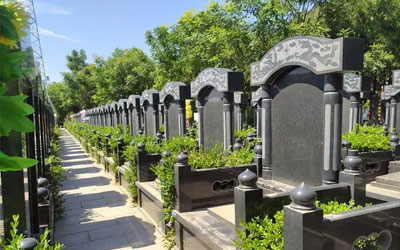 购买墓地的时候需要注意什么