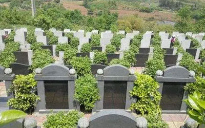 墓地选址需注意哪些问题，公墓信息网给您建议