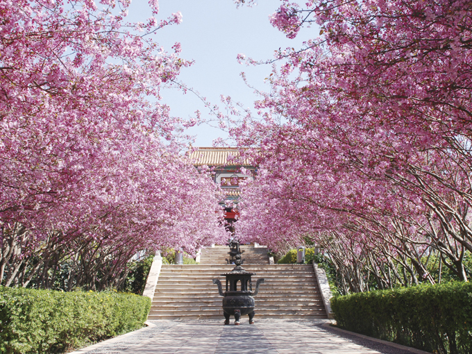 昆明金陵公墓环境