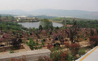 墓地排号怎么选?昆明青龙园公墓选哪排风水好?