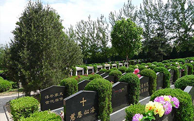 公墓信息网介绍为什么墓地要选择有阳光的地方