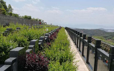 昆明青龙园告诉您：为什么要提前购买福地（图文）