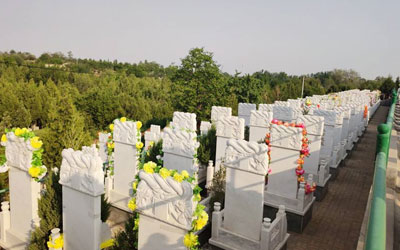 如何在公墓陵园中确定穴位,墓穴的更佳位置怎么找