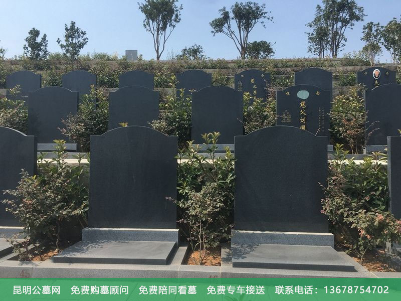 选地下穴好还是选地上穴好