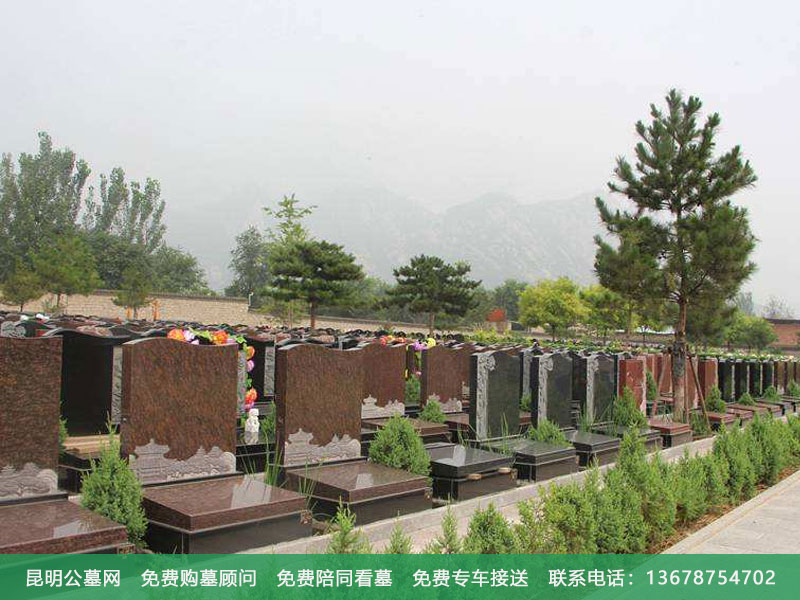 墓地编号选择哪个比较合适