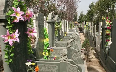 为什么选墓地都要看风水