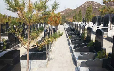 你知道墓地不能选在哪些地方吗,一分钟了解教会你哪些地方不适合做墓地