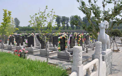 哪些地方不适合作为墓地,怎么看适不适合