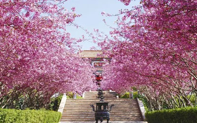 青龙山公墓价格,昆明陵园墓地费用是多少,性价比哪家的高