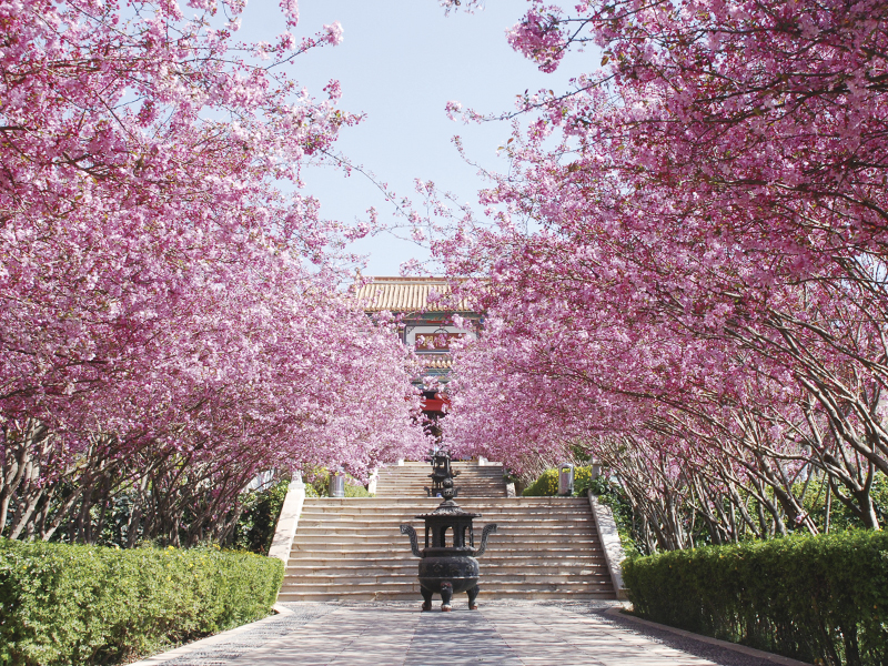 昆明金陵公墓金陵大道