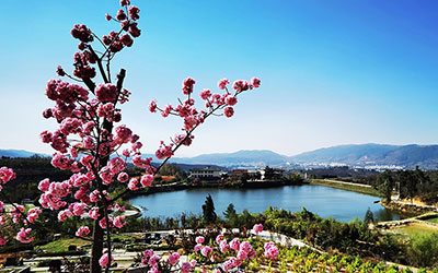 宜良草甸公墓联系电话,昆明青龙园公墓怎么样,值得购买吗