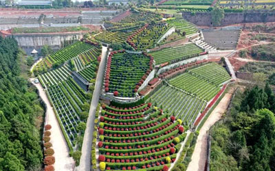 “台地思路”让山地公墓规划脱胎换骨