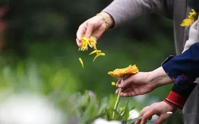 殡葬改革惠民生 移风易俗气象新