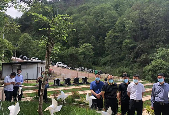 云南省民政厅林辉副厅长到兰坪县考察调研殡葬改革