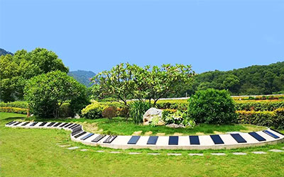 厚养厚葬还是薄葬？调查：济南生态葬报名一年比一年火