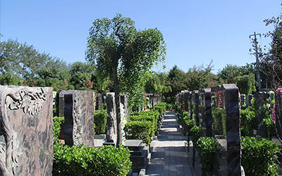 民政部办公厅关于做好2022年清明节祭扫工作的通知