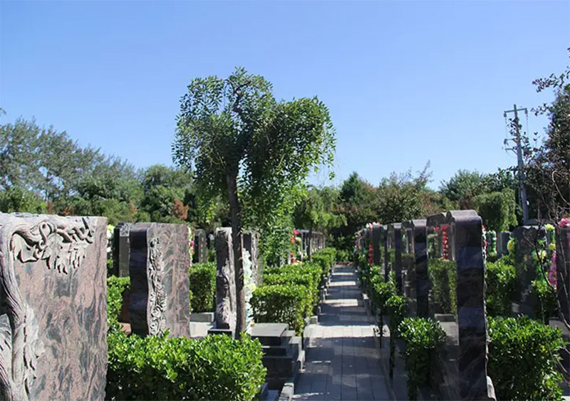 民政部办公厅关于做好2022年清明节祭扫工作的通知