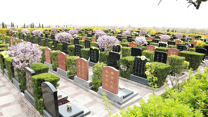 适时提请党中央国务院建立全国殡葬工作联席会议制度