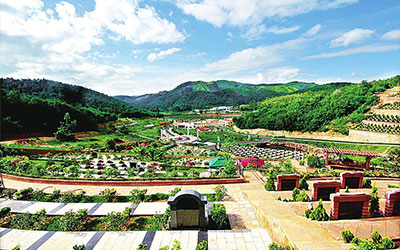 殡葬改革43问，读懂殡葬改革政策规定