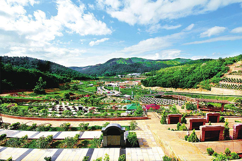 殡葬改革43问，读懂殡葬改革政策规定