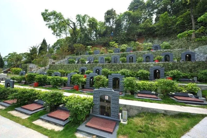 从重处罚！ “天价殡葬费”事件最新进展