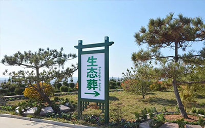 全国殡葬综合改革试点方案