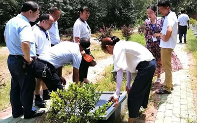 殡葬改革：土地、木材和金钱浪费及其讨论