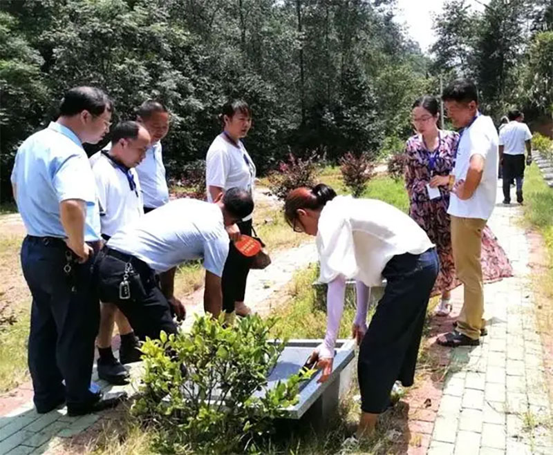 殡葬改革：土地、木材和金钱浪费及其讨论