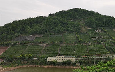 墓地破土开坟的注意事项