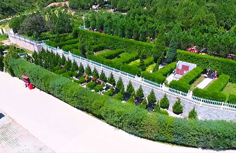 昆明树葬墓地，节省土地资源，让逝者回归自然