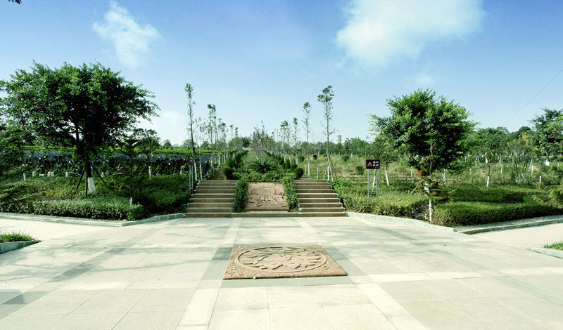 我国殡葬改革与管理的若干问题