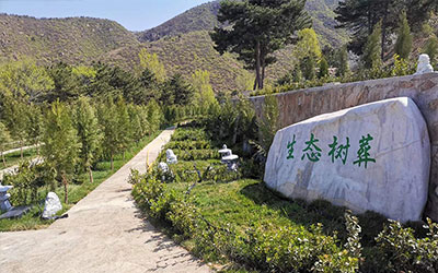 树葬的发展趋势，昆明树葬怎么样？