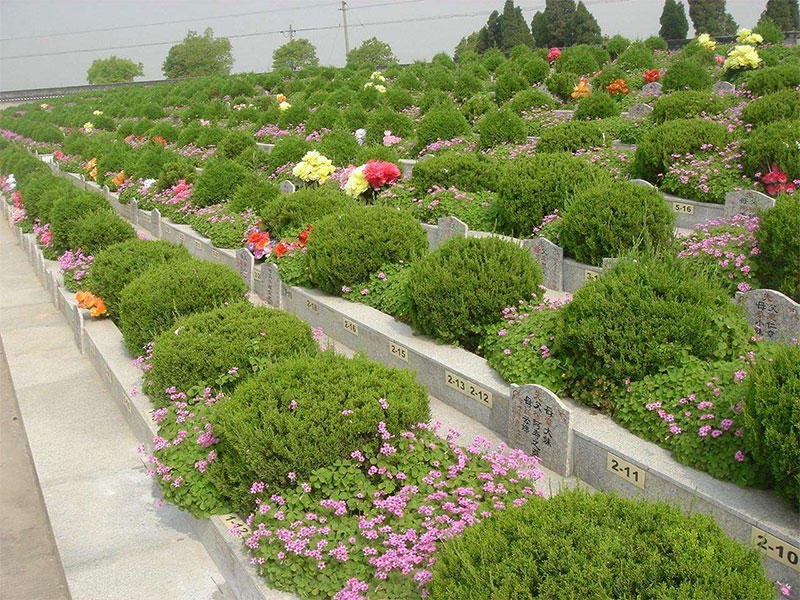 绿色生态安葬佑护逝者安宁