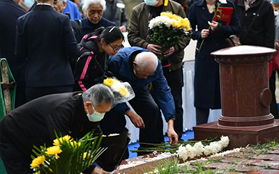 以新葬式葬法让逝者生命回归自然