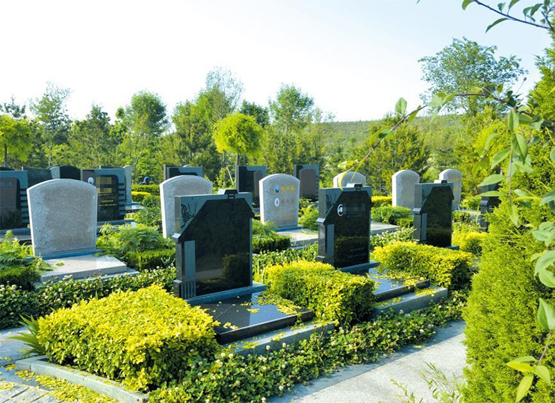 墓地的价格为何越来越贵