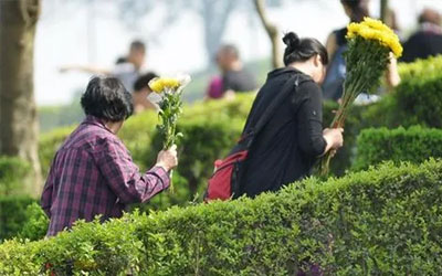 还在“土葬”？绿色殡葬成新趋势，让生命回归自然