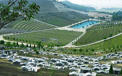 全国墓地价格一览表：探索逝者安息地的经济脉络