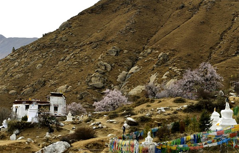 藏族天葬的起源、仪式过程及禁忌制度的文化内涵