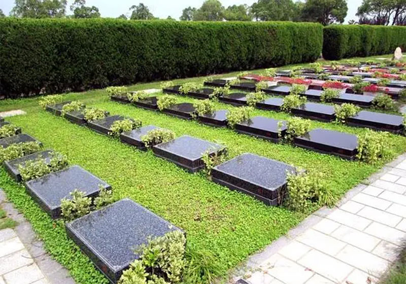 了解一下新式土葬
