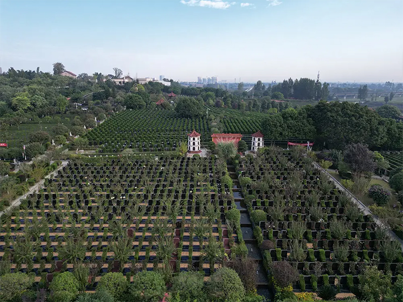 从传统墓地到网上墓地，有什么不一样的变化