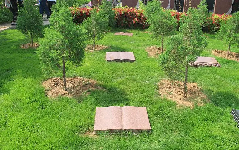 昆明生态葬方式一览：让生命以自然之名延续