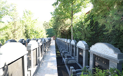 最新公墓管理政策及收费详情