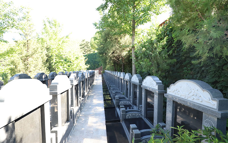 最新公墓管理政策及收费详情